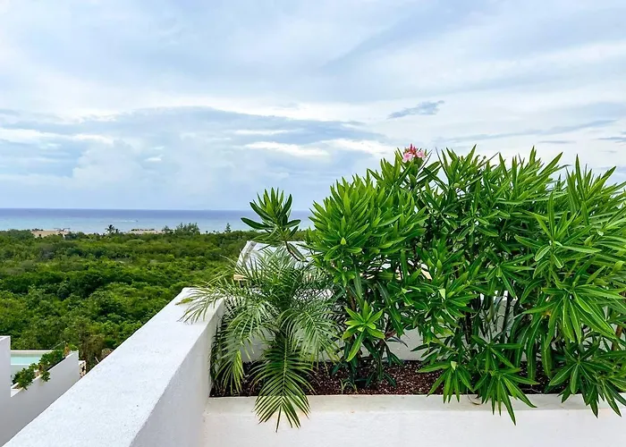 Xkaa - At 5th Ave With Pool Gym Steps To Playa del Carmen